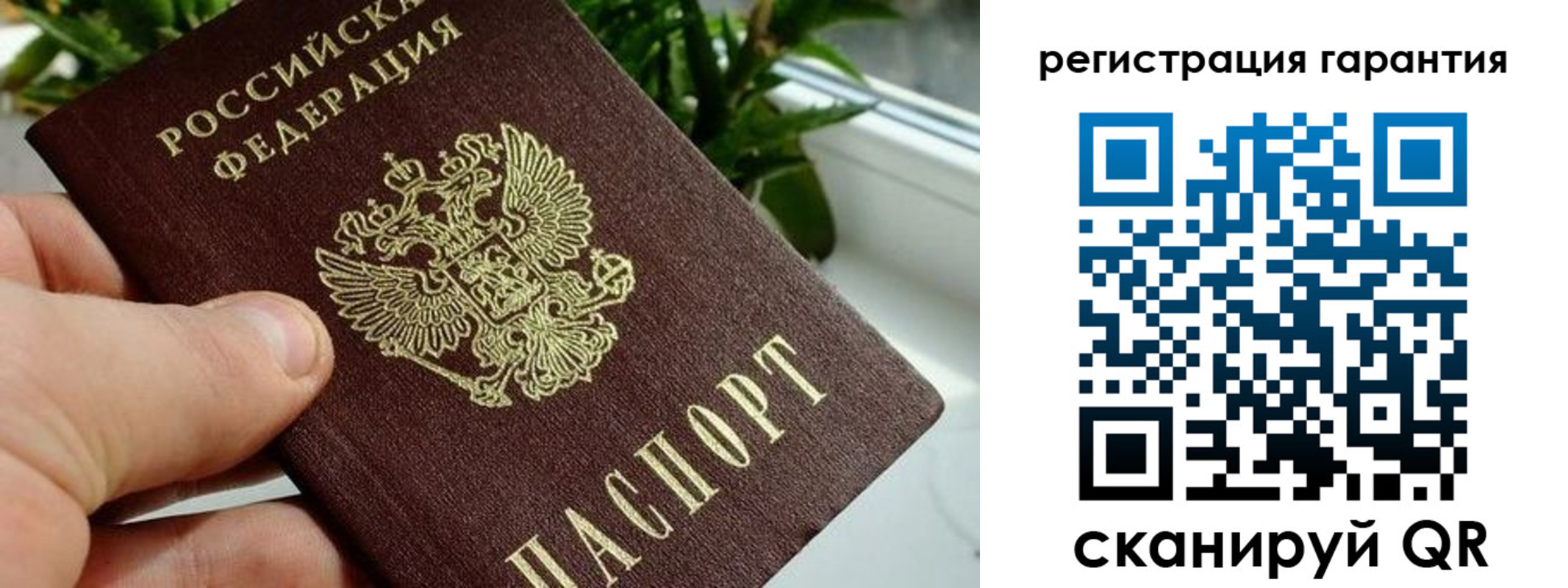 временная регистрация надежно в Омске